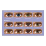 Freshlook Colorblends Renkli Lens-1