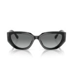 Vogue VO5438S W4411-2